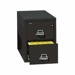 FireKing 1-Hour 2-Drawer Fire Resistant Vertical Cabinet, Legal-Size, Black, Inside Delivery (22131CBLI)