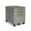 Union & Scale™ Prestige 2-Drawer Vertical File Cabinet, Mobile/Pedestal, Letter/Legal, Gray, 21" (UN56949) 1 Union & Scale™ Prestige 2-Drawer Vertical File Cabinet, Mobile/Pedestal, Letter/Legal, Gray, 21" (UN56949) -STAPLES Sales s1201623 sc7