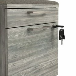 Union & Scale™ Prestige 2-Drawer Vertical File Cabinet, Mobile/Pedestal, Letter/Legal, Gray, 21" (UN56949) 13 Union & Scale™ Prestige 2-Drawer Vertical File Cabinet, Mobile/Pedestal, Letter/Legal, Gray, 21" (UN56949) -STAPLES Sales s1201628 sc7