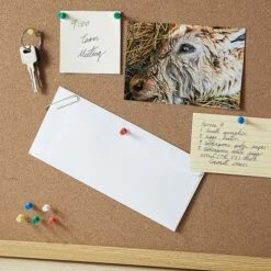 Staples Push Pins, Assorted Colors, 100/Pack (10563-CC) 9 Staples Push Pins, Assorted Colors, 100/Pack (10563-CC) -STAPLES Sales s1225567 sc7