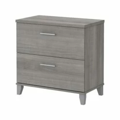Bush Furniture Somerset 2-Drawer Lateral File Cabinet, Letter/Legal, Platinum Gray, 30" (WC81280)