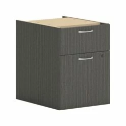 HON Mod 2-Drawer Vertical File Cabinet, Hanging Pedestal, Letter/Legal, Slate Teak, 20" (HONPLPHBFLS1)