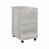 Bush Business Furniture Hybrid 2-Drawer Mobile File Cabinet, Letter/Legal, Platinum Gray, 20", (HYF116PGSU-Z) 1 Bush Business Furniture Hybrid 2-Drawer Mobile File Cabinet, Letter/Legal, Platinum Gray, 20", (HYF116PGSU-Z) -STAPLES Sales sp147608298 sc7