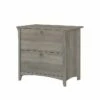 Bush Furniture Salinas 2-Drawer Lateral File Cabinet, Letter/Legal, Driftwood Gray, 31.73" (SAF132DG-03) 2 Bush Furniture Salinas 2-Drawer Lateral File Cabinet, Letter/Legal, Driftwood Gray, 31.73" (SAF132DG-03) -STAPLES Sales sp164749929 sc7