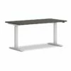 HON Mod 26.25"-43.5"H Adjustable Standing Desk, Slate Teak/Nickel (HLPLRW6030CONHATSL1) 1 HON Mod 26.25"-43.5"H Adjustable Standing Desk, Slate Teak/Nickel (HLPLRW6030CONHATSL1) -STAPLES Sales sp171475285 sc7