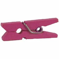 JAM Paper® Wood Clip Clothespins, Small 7/8 Inch, Fuchsia Pink Clothes Pins, 2 Packs Of 50 (230729139A) -STAPLES Sales sp29738215 sc7
