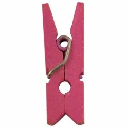 JAM Paper® Wood Clip Clothespins, Small 7/8 Inch, Fuchsia Pink Clothes Pins, 2 Packs Of 50 (230729139A) -STAPLES Sales sp29738216 sc7