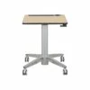 Ergotron 29"-45" Adjustable Desk, Maple/Silver (24-811-F13) 1 Ergotron 29"-45" Adjustable Desk, Maple/Silver (24-811-F13) -STAPLES Sales sp83025552 sc7